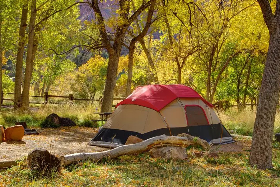  In Zion National Park