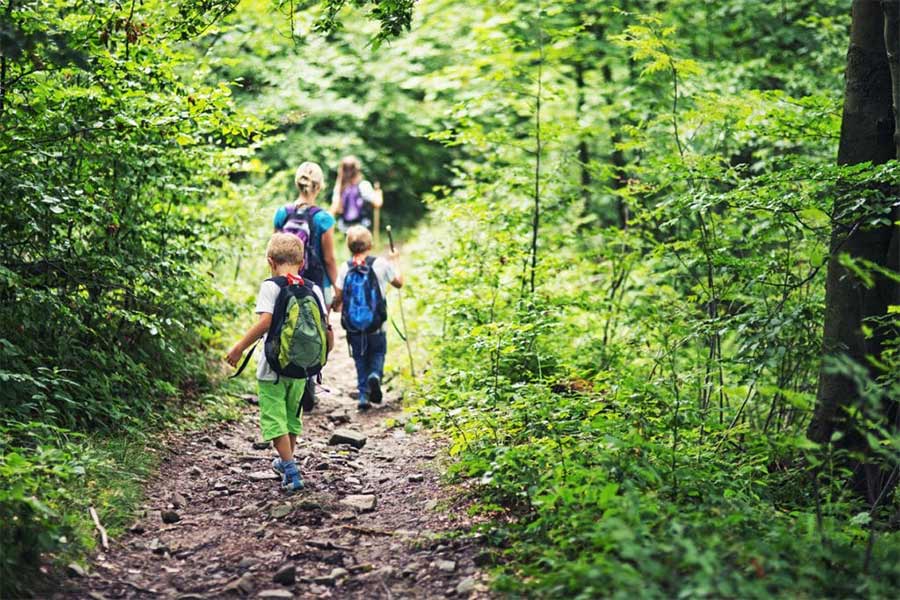 nature-watching-kids