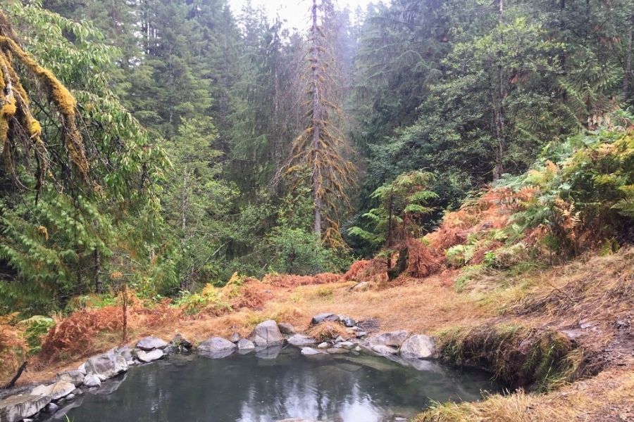 summer at hot spring national park