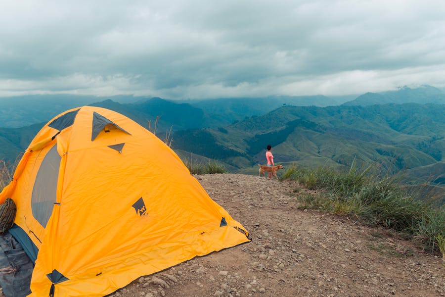 How To Clean Tent With Mold
