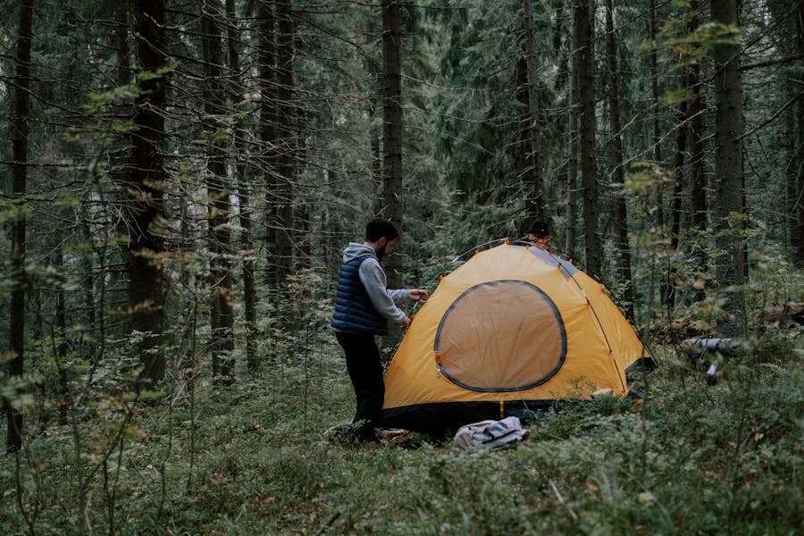 Effective Ways To Keep Bugs Away While Camping