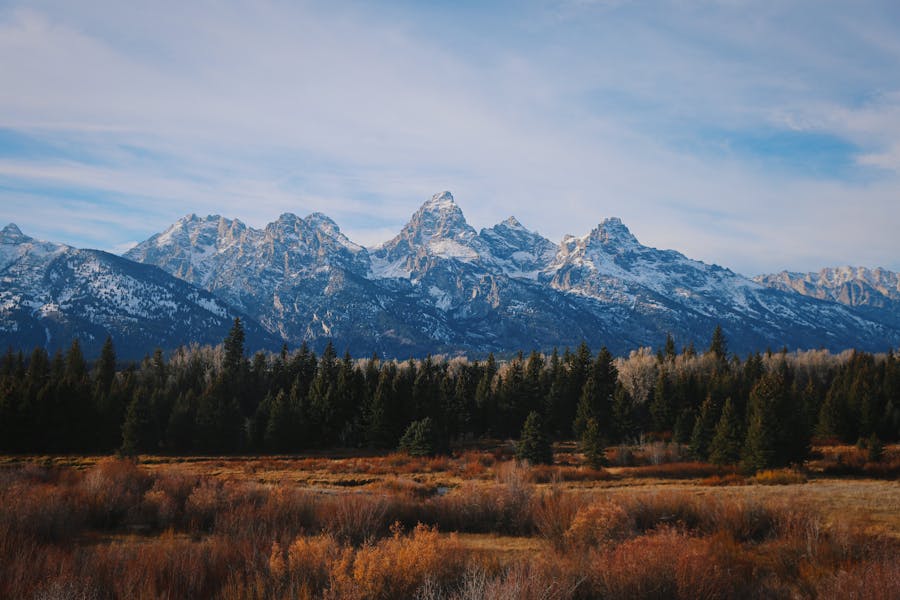 Guide to Grand Teton National Park