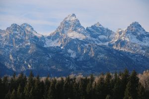 Guide to Grand Teton National Park