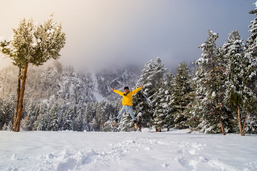 Best National Parks To Visit In The Winter