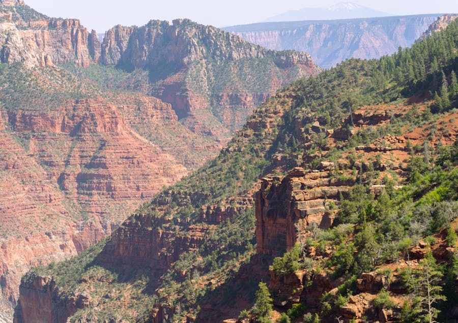 Guide To Grand Canyon National Park